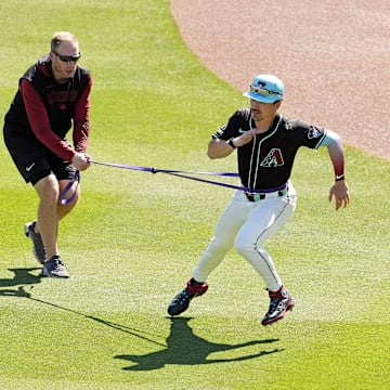 AgriPump A2 便携式农用泵